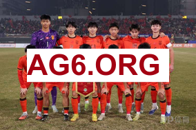 代理管理网展示